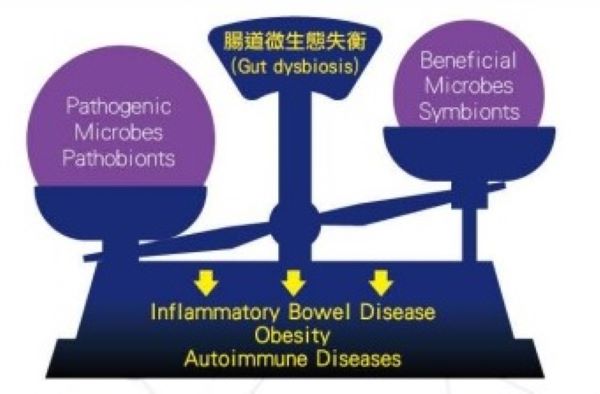 jxf吉祥官网总站